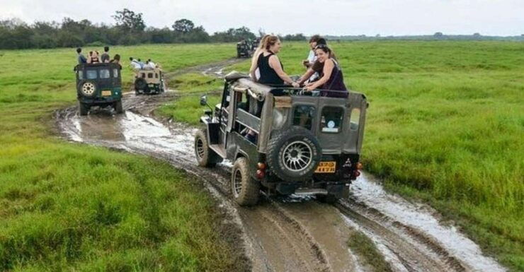 Jeep Safari