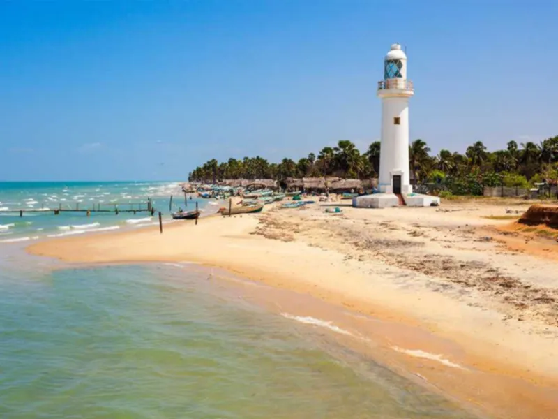 Mannar