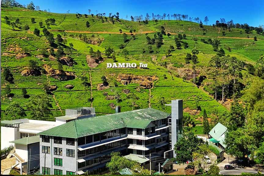 Damro Tea Factory