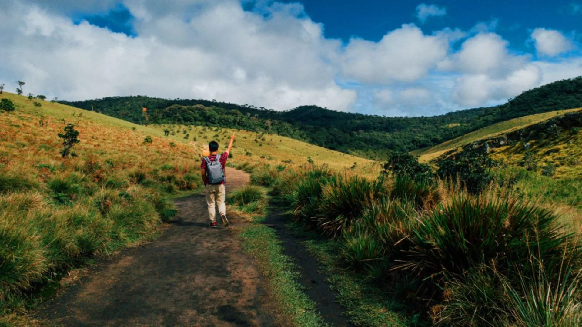 Horton Plains National Park – photo 2