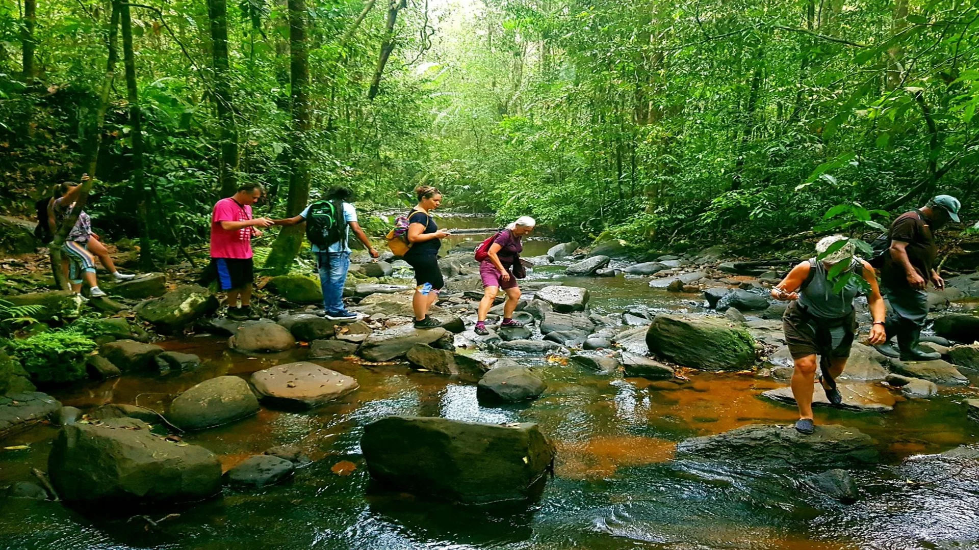 Sinharaja Forest Reserve