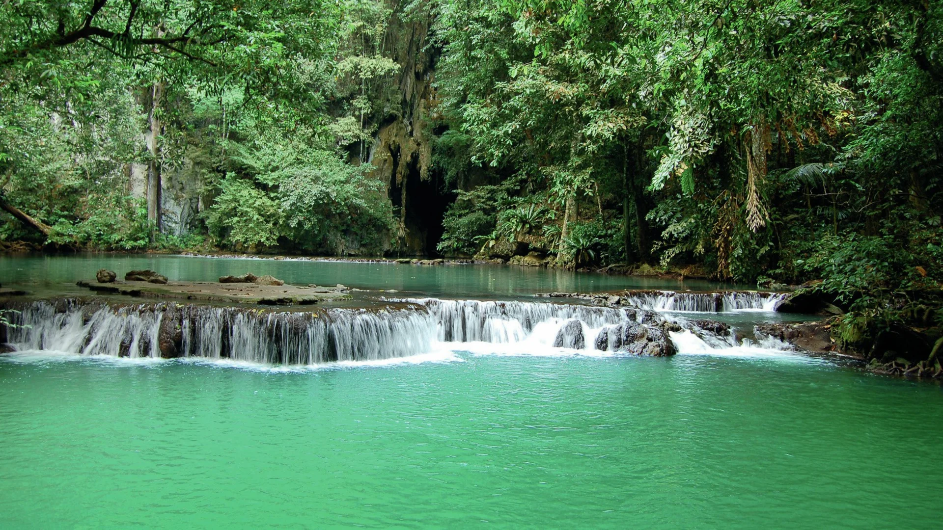 Sinharaja Forest Reserve – photo 3
