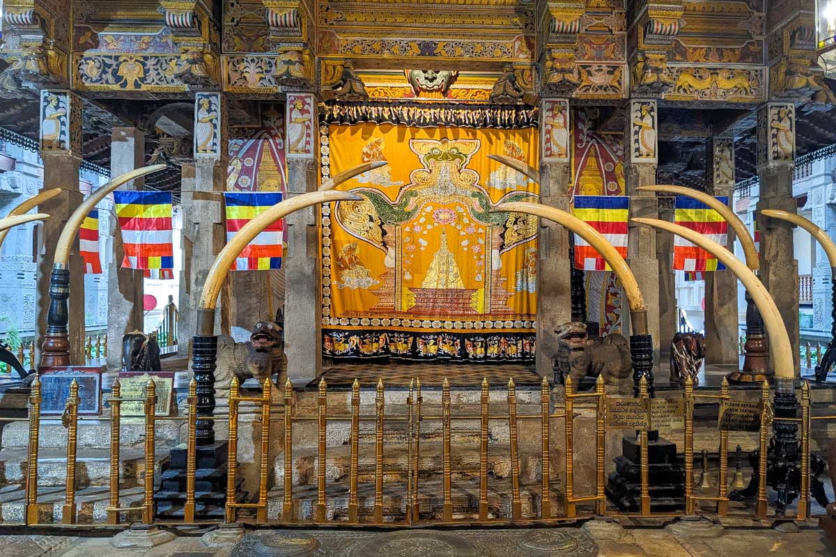 Essence of Ceylon: 6-Day Iconic Landscape Journey – photo 3