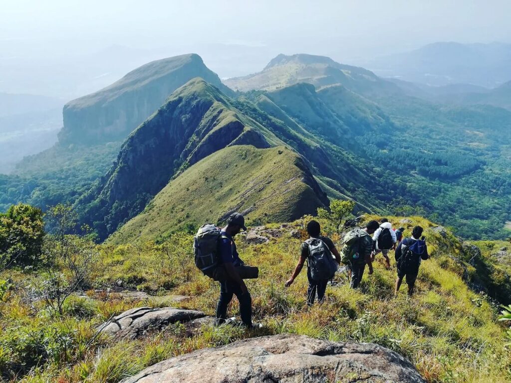 Sri Lanka Wild Trails: Wilpattu, Knuckles & Kumana